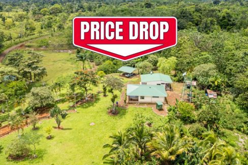 Finca de 342 acres en San Carlos