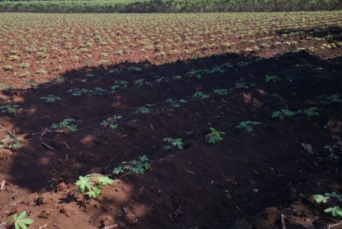 2 acres a solo 2 minutos del Parque de la Fortuna