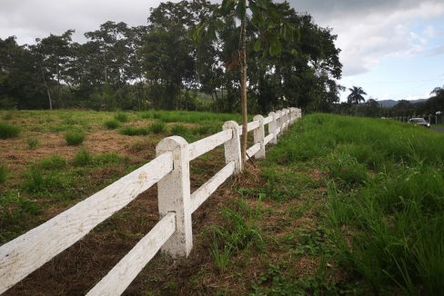 Único La Fortuna Terreno Comercial