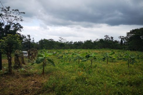 Lote Residencial cerca de La Fortuna
