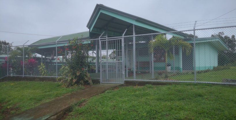 Plantación vainilla y melina