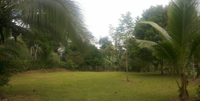 precioso terreno en Santa Clara